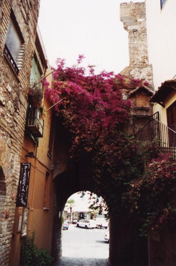 فندق La Casa Degli Artisti 1 نيتّونو المظهر الخارجي الصورة